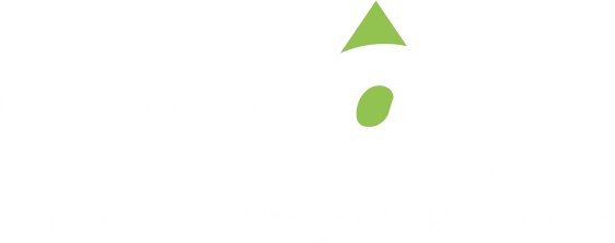 Coan Consultoria